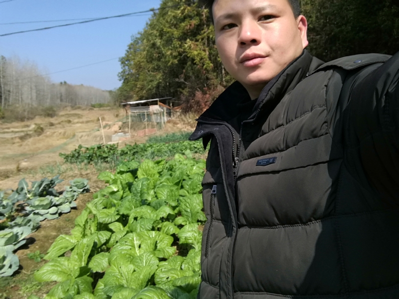 倔强的驴的第一张照片--苏州认干亲服务网